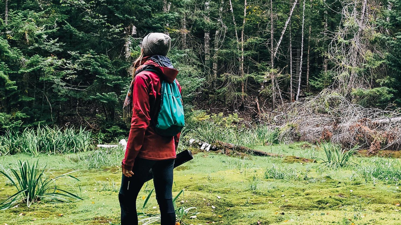 Raclette "on the way"