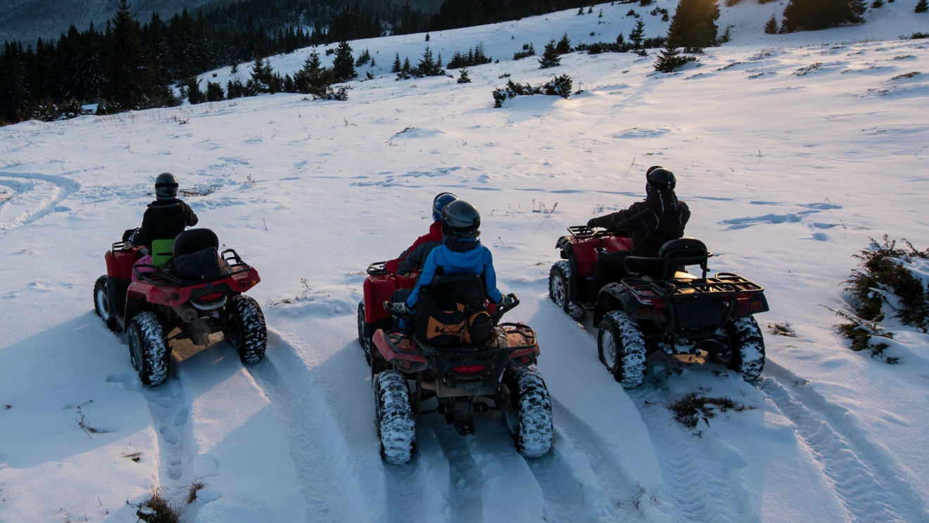 Alpine Pasture Rally